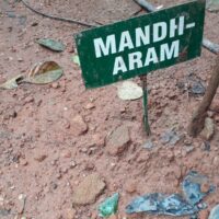Mandh-Aram02 
