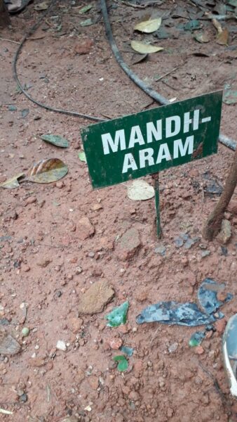 Mandh-Aram02