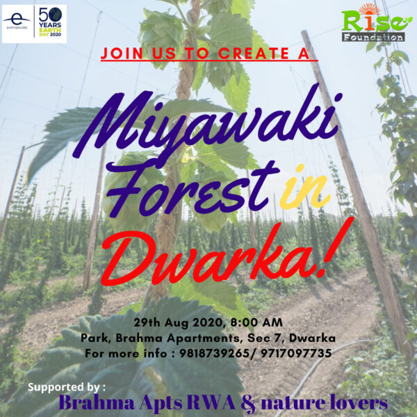miyawaki-forest-in-delhi